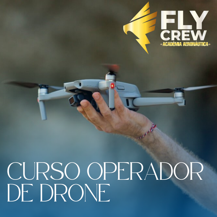 PILOTO OPERADOR DE RPAS